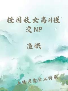 校园妓女高H援交NP