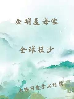 秦明聂海棠