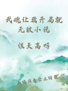 武魂让我开局就无敌小说