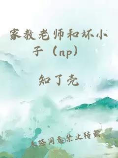 家教老师和坏小子（np）