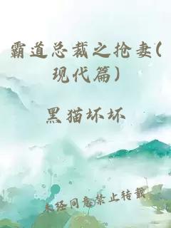 霸道总裁之抢妻(现代篇)